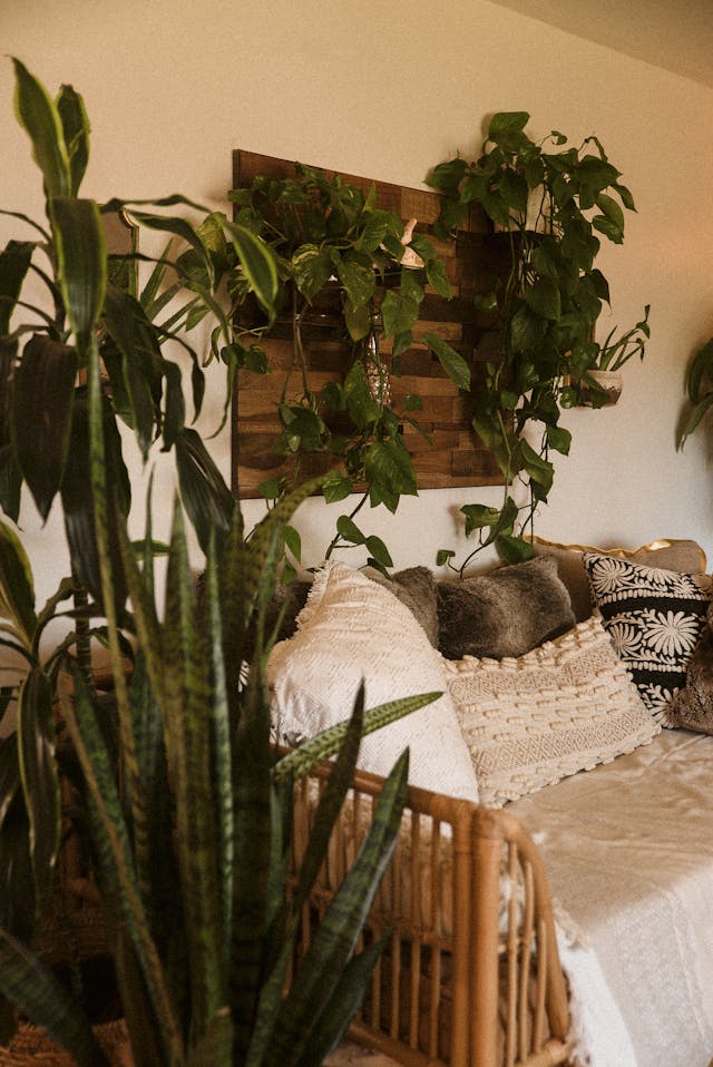 Zo haal je de natuur naar binnen: 6 eenvoudige ideeën met planten en hout